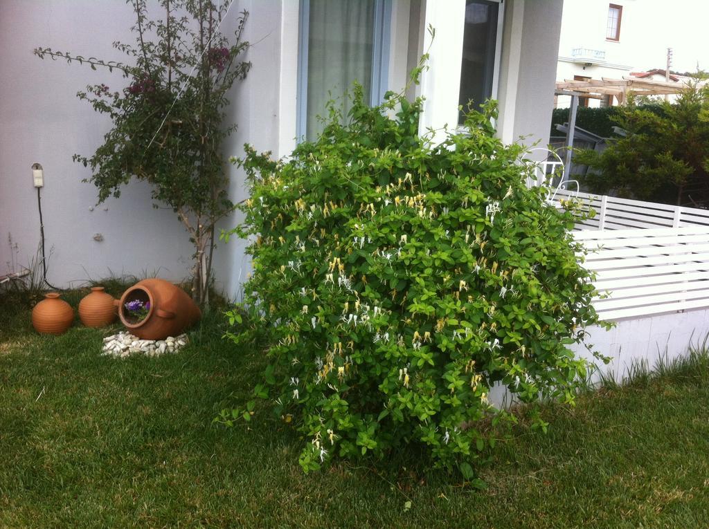 Aspasia House Bozcaada Exterior photo